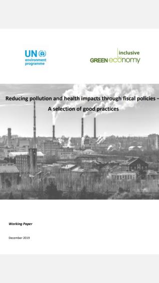 Reducing pollution and health impacts through fiscal policies_UNEP.jpg
