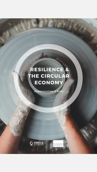 Resilience and the Circular Economy_circle economy.jpg