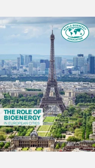 Role of Bioenergy.png