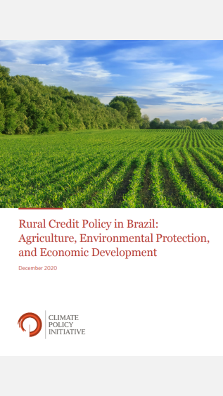 Rural Credit Policy in Brazil Agriculture, environmental protection, and economic development_cpi
