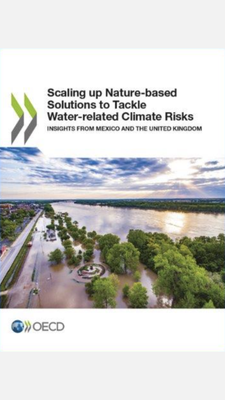 Scaling up Nature-based Solutions to Tackle Water-related Climate Risks.png