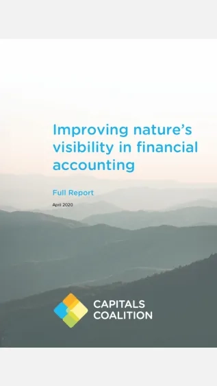 Cover_of_Improving_Natures_Visibility_in_Financial_Accounting_NCC
