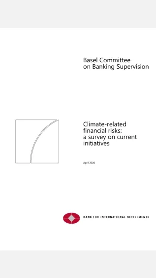 Cover_of_Climate-Related_Financial_Risks_BIS