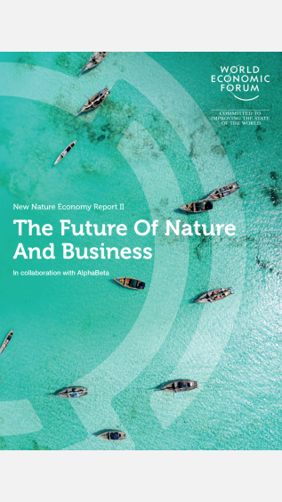 Cover_of_The_Future_of_Nature_and_Business_WEF