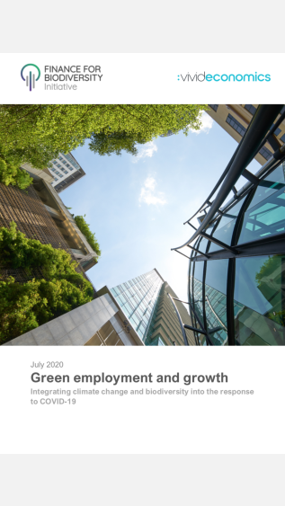 Green_Employment_and_Growth_Vivid_Economics_Finance_For_Biodiversity_Intitiative