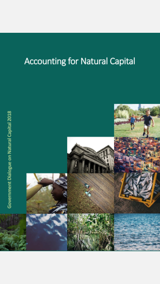 Cover_of_Accounting_for_Natural_Capital_NCC