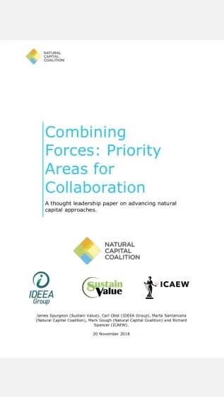 Cover_of_Combining_Forces_Priority_Areas_for_Collaboration_NCC