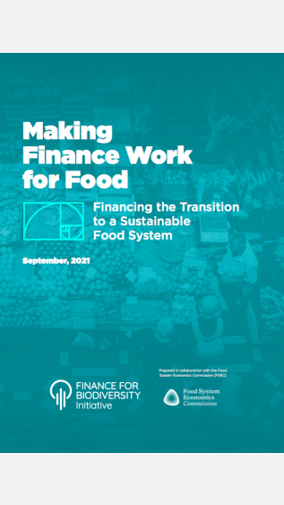 Making Finance Work for Food