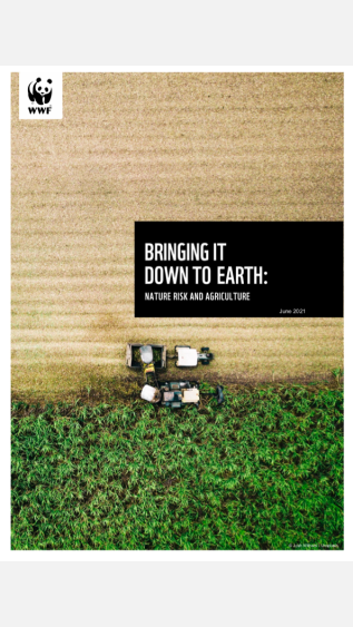 Bringing It Down to Earth