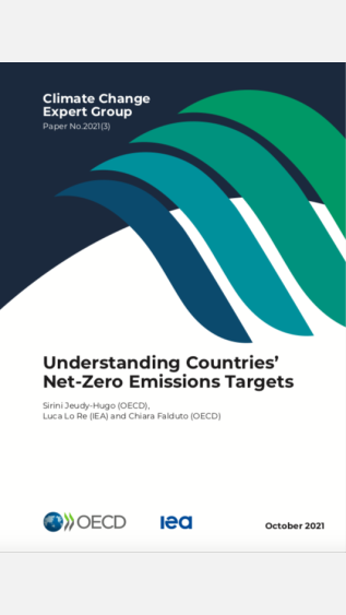 Understanding Countries Net-Zero Emission Targets