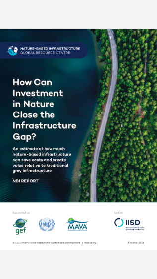 How Can Investment in Nature Close the Infrastructure Gap?