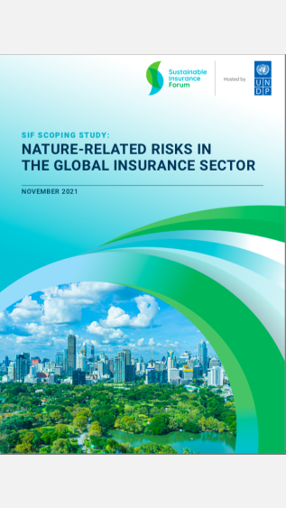 Nature-related Risks in the Global Insurance Sector