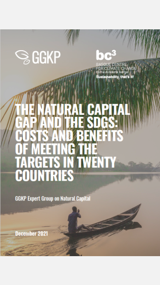 natural capital gap (ggkp)