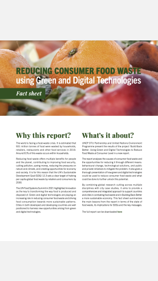 Reducing consumer food waste using green and digital technologies