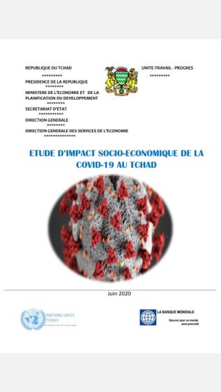 Socioeconomic impact study of COVID-19 in Chad (French)_UNDP.jpg