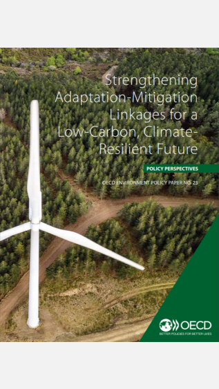 Strengthening adaptation-mitigation linkages_OECD.PNG