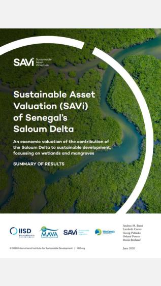 Sustainable Asset Valuation (SAVi) of Senegal's Saloum Delta_IISD.JPG