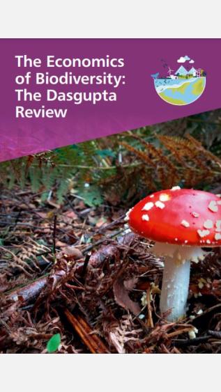 The Economics of Biodiversity The Dasgupta Review_HM Treasury.JPG