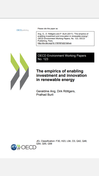 The Empirics of Enabling Investment and Innovation in Renewable Energy Cover Photo