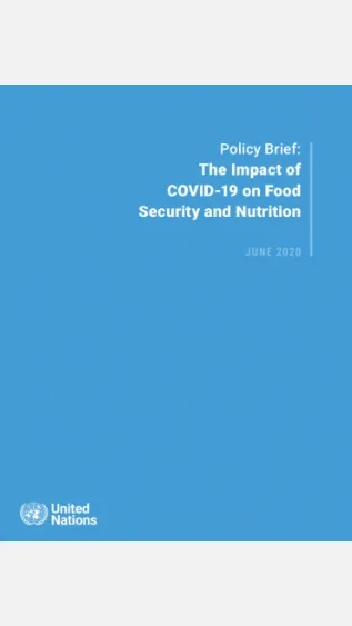 The Impact of COVID-19 on food security and nutrition_UNSDG.png