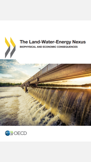 The Land-Water-Energy Nexus_Biophysical and Economic Consequences