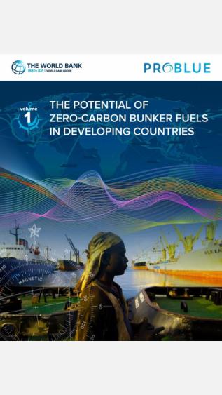 The Potential of Zero-Carbon Bunker Fuels in Developing Countries_World Bank Group.JPG