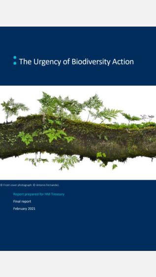 The Urgency of Biodiversity Action_Vivid Economics.JPG