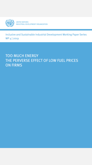Too-Much-Energy-The-Perverse-Effect-of-Low-Fuel-Prices-on-Firms-UNIDO.png