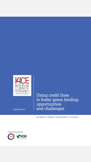 Using credit lines to foster green lending_opportunities and challenges