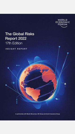 WEF Global Risks Report 2022