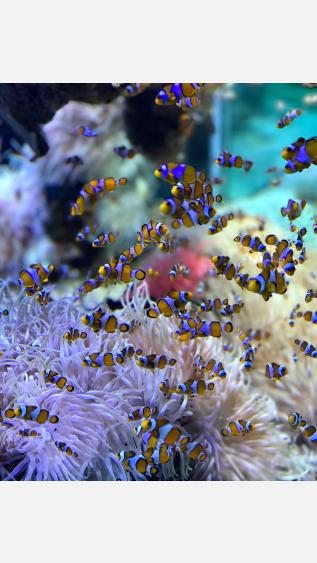 Photo by Pratik Mehta on Unsplash