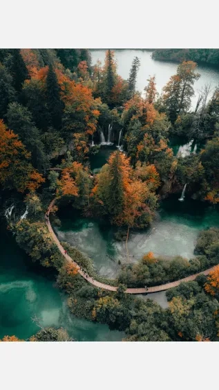 Photo of aerial shot of trees by Peter Jan Rijpkema on Unsplash