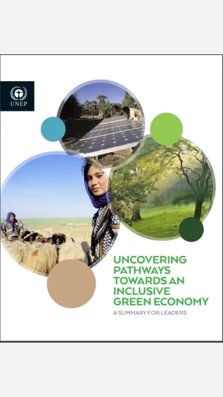 uncovering pathways towards green economy