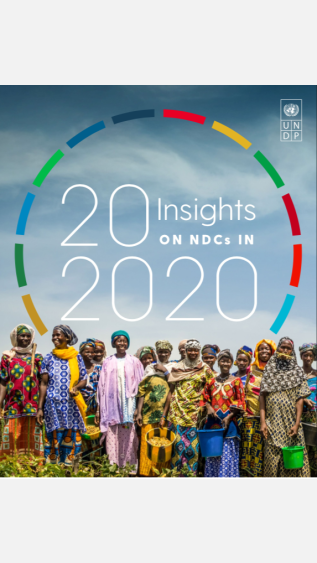 undp-ndcsp-20-insights.png