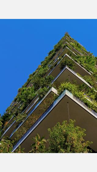 Photo by Ricardo Gomez Angel on Unsplash