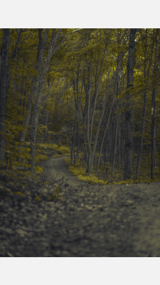 Photo by Derek Story on Unsplash.PNG