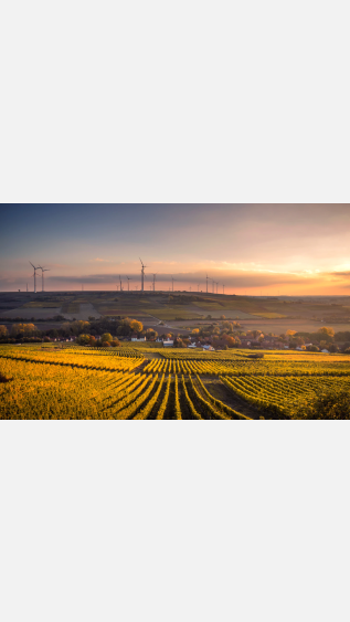 photo from unsplash.PNG