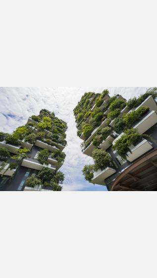 Photo by ArcansÃ©l on Adobe Stock