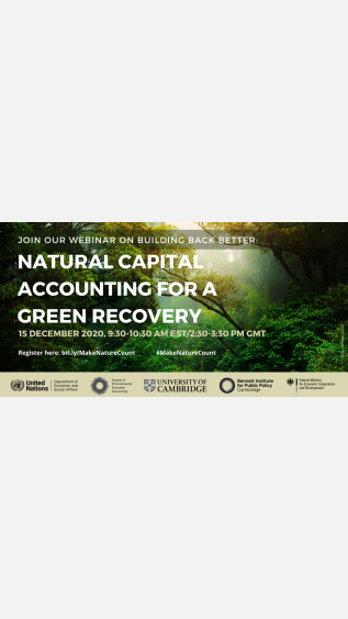 Card - Webinar Natural Capital Accounting for a Green Recovery