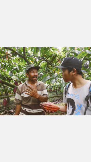 su-re.co in Indonesia