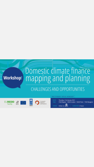 Domestic Climate Finance Mapping & Planning Workshop_ CPI.png