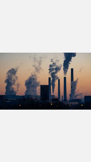 Ella Ivanescu_Unsplash