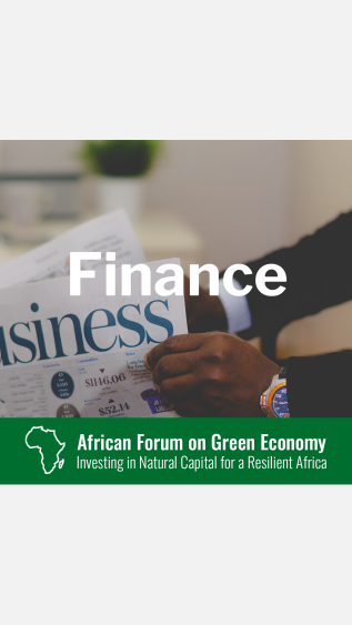Finance_African_Forum.png