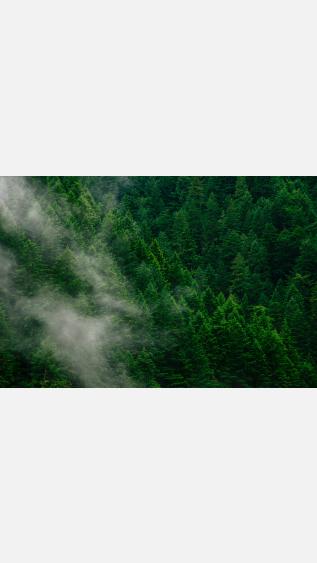 Photo by Andrew-coelho-on-unsplash.jpg