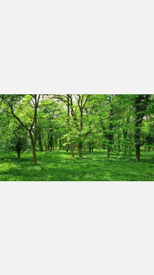 Photo by Ankit-choudhary-on-unsplash.jpg