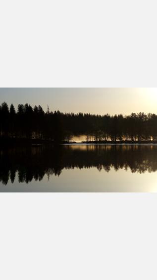 Photo by Anne-Nygard-On unsplash.jpg