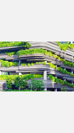 Photo by Danist-on-unsplash.jpg