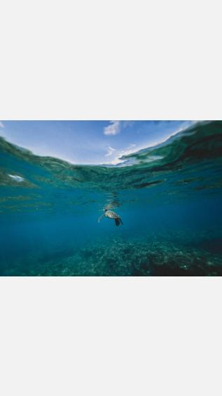 Photo by Jakob Owens on Unsplash.jpg