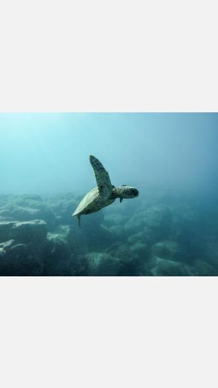 Photo by Jeremy Bishop on Unsplash.JPG