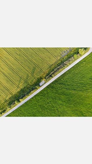 Photo by Julian Ebert on Unsplash